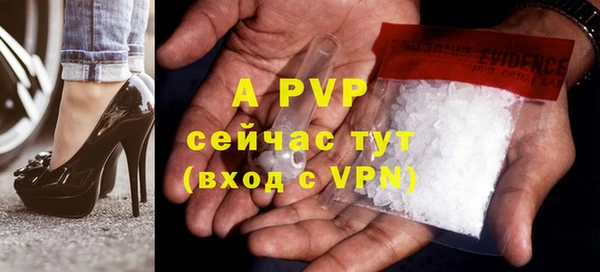PSILOCYBIN Богородицк