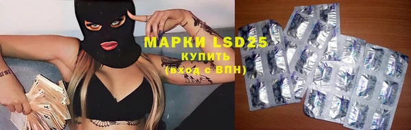 PSILOCYBIN Богородицк