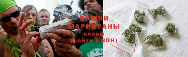 PSILOCYBIN Богородицк