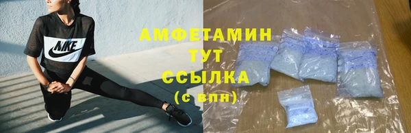 сатива Богданович