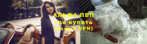 PSILOCYBIN Богородицк
