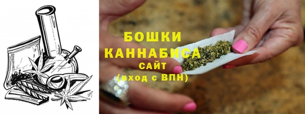 PSILOCYBIN Богородицк