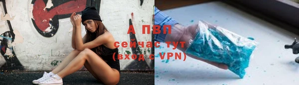 сатива Богданович