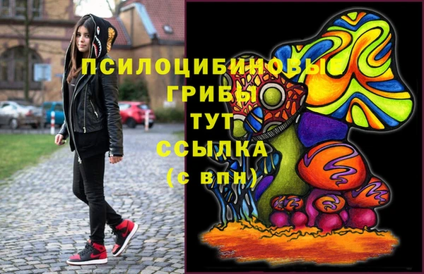 сатива Богданович