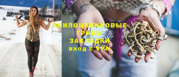 PSILOCYBIN Богородицк